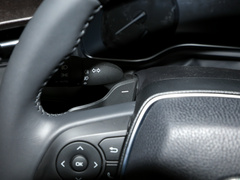 2021款 2.5L 豪华版