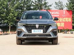2020款 300TGI 自动Ali国潮旗舰版