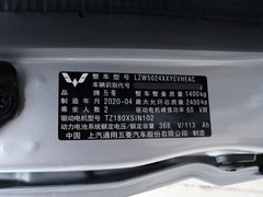 2020款  封窗版基本型2座300KM