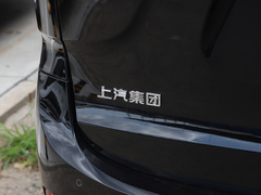 2021款 2.0T 自动精英版 汽油 7座