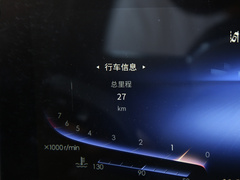 2020款 3.0T 智联旗畅版
