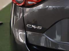 2020款 改款 2.0L 自动两驱智尊型
