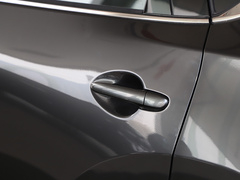 2020款 改款 2.0L 自动两驱智尊型
