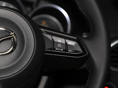 2020款 改款 2.0L 自动两驱智尊型