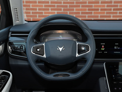 2021款 480S 160kW
免税
