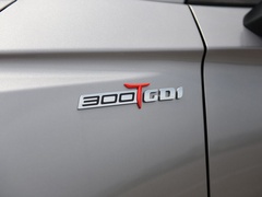 2020款 1.6TGDI 自动豪华型