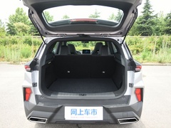 2020款 1.6TGDI 自动豪华型