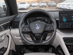 2021款 DM-i 110KM 旗舰型
