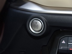 2021款 2.0T 两驱智行+