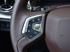 2021款 2.0T 两驱智行+