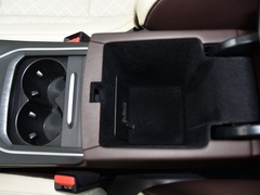 2021款 2.0T 两驱智行+