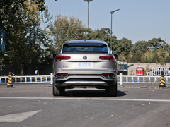 2020款 330TSI 两驱尊贵智联版