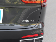 2020款 330TSI 两驱尊贵智联版