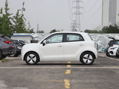 2021款 301km 基础型