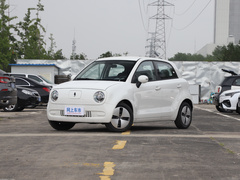 2021款 301km 基础型