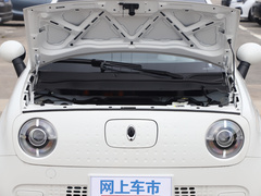2021款 301km 基础型