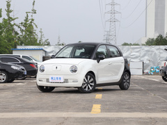 2021款 351km 标准型