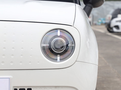 2021款 351km 标准型