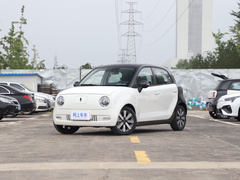2021款 351km 豪华型