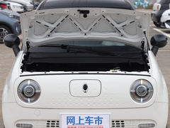 2021款 351km 豪华型