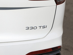 2020款 330TSI 两驱旗舰智联版
