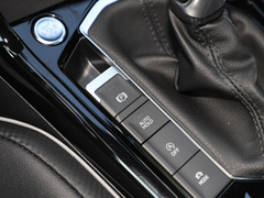 2020款 330TSI 两驱旗舰智联版