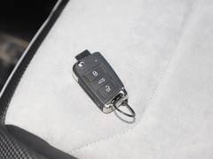 2020款 330TSI 两驱旗舰智联版