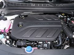 2021款 蓝鲸版 1.5T DCT精英型
