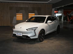 2020款  两驱高性能运动版
免税
