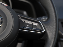 2021款 2.0L 自动两驱蓝天活力版