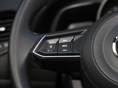 2021款 2.0L 自动两驱蓝天活力版