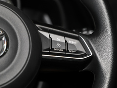 2021款 2.0L 自动两驱蓝天活力版