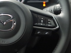 2021款 2.5L 自动四驱蓝天激情版