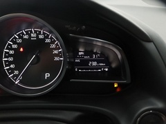 2021款 2.5L 自动四驱蓝天激情版