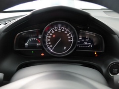 2021款 2.5L 自动四驱蓝天激情版