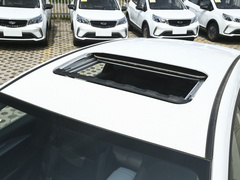 2020款 优选续航版 400KM C+ Pro