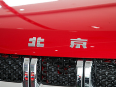 2020款 2.0T 自动四驱致敬2020版侠客型