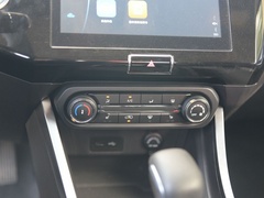 2021款 PLUS 1.5L CVT尽兴松子版