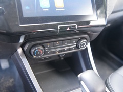 2021款 PLUS 1.5L CVT尽兴松子版