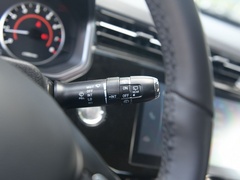 2021款 PLUS 1.5L CVT尽兴松子版