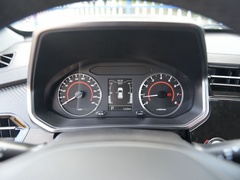 2021款 PLUS 1.5L CVT尽兴松子版