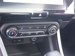 2021款 PLUS 1.5L CVT尽兴松子版