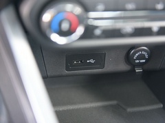 2021款 PLUS 1.5L CVT尽兴松子版