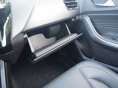 2021款 PLUS 1.5L CVT尽兴松子版