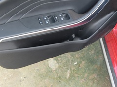 2021款 PLUS 1.5L CVT尽兴松子版