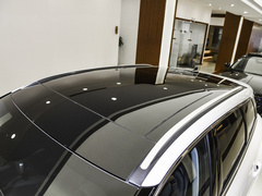2021款 PHEV 四驱e享版