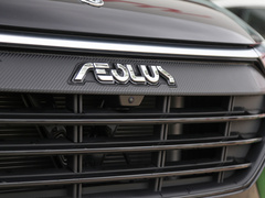 2021款 PRO 1.6T 自动荣耀版