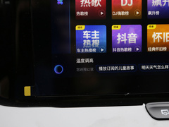 2021款 PRO 1.6T 自动荣耀版