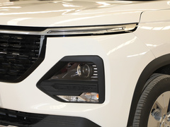 2021款 1.5T 手动舒适型 全球车周年纪念版 6座 