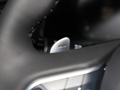 2021款 2.0T 四驱极智性能版